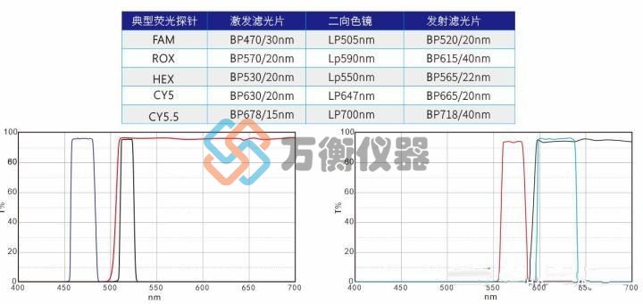 荧光激发1.jpg